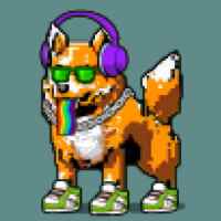 DogePunks #865