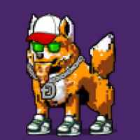 DogePunks #1160