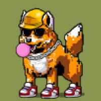 DogePunks #852