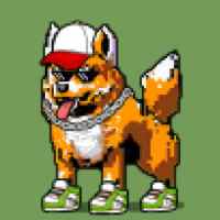 DogePunks #2554