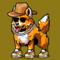 DogePunks #1771