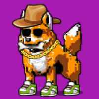 DogePunks #1964