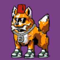 DogePunks #1374