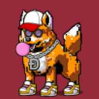 DogePunks #2638