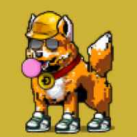 DogePunks #981
