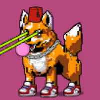 DogePunks #1242