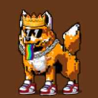 DogePunks #1538