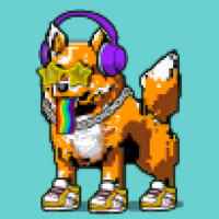 DogePunks #2062