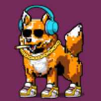DogePunks #1316