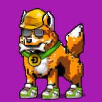 DogePunks #1933