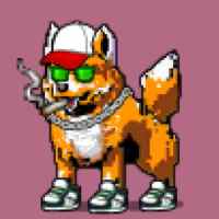 DogePunks #1764