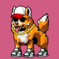 DogePunks #164
