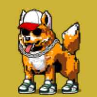 DogePunks #4306