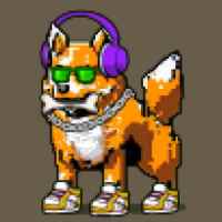 DogePunks #2834