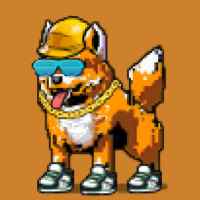 DogePunks #1190