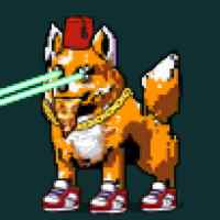 DogePunks #1205