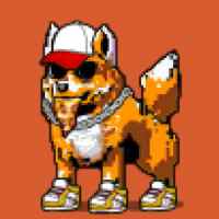 DogePunks #2984