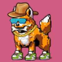 DogePunks #3433