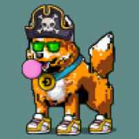 DogePunks #813