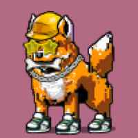 DogePunks #4935