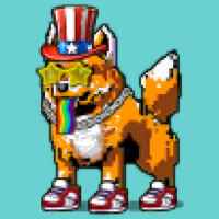 DogePunks #3541