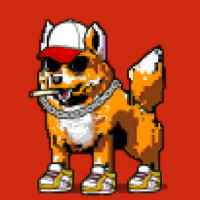 DogePunks #900