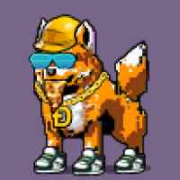 DogePunks #4567
