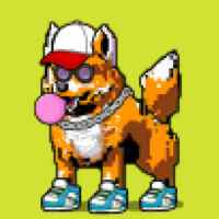 DogePunks #4479