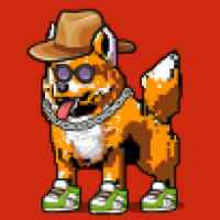 DogePunks #4608