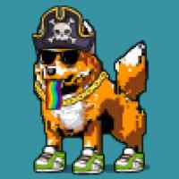 DogePunks #4894