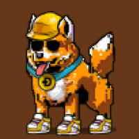 DogePunks #1101