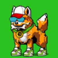 DogePunks #3925
