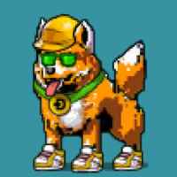 DogePunks #2567