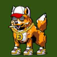 DogePunks #4754