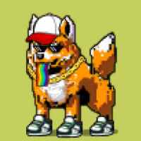 DogePunks #1325
