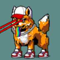 DogePunks #4354