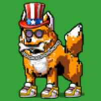 DogePunks #4498