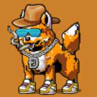 DogePunks #1859