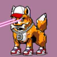 DogePunks #176