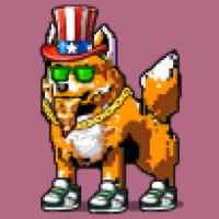 DogePunks #3350