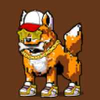 DogePunks #3232