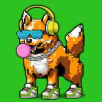 DogePunks #3991
