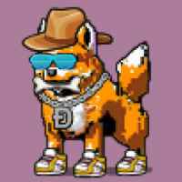 DogePunks #1042