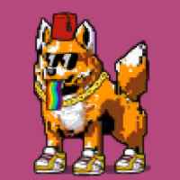 DogePunks #3603