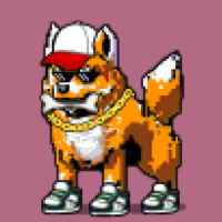 DogePunks #2090
