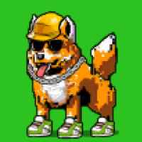 DogePunks #4619