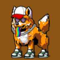 DogePunks #885