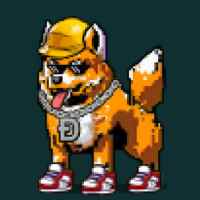 DogePunks #2824