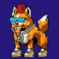 DogePunks #3529
