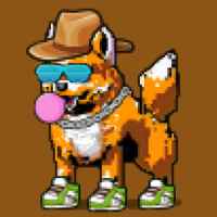 DogePunks #3504